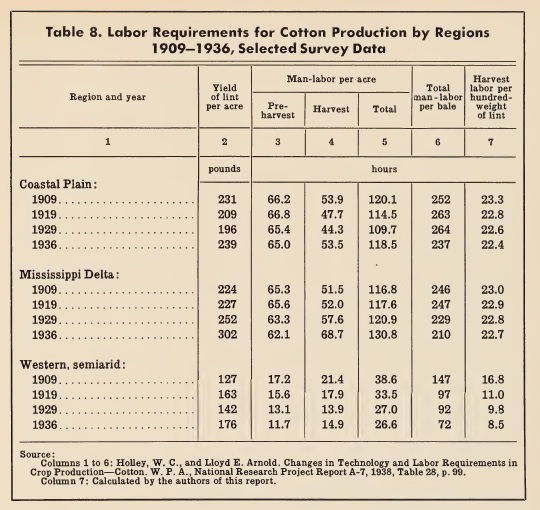 cotton hand pick labor